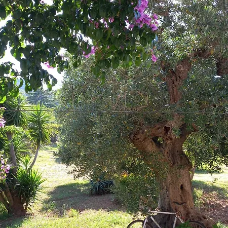 Trullichiru Hébergement de vacances