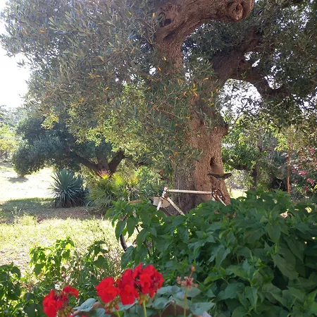 Hébergement de vacances Trullichiru *