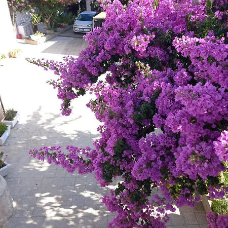 Hébergement de vacances Trullichiru