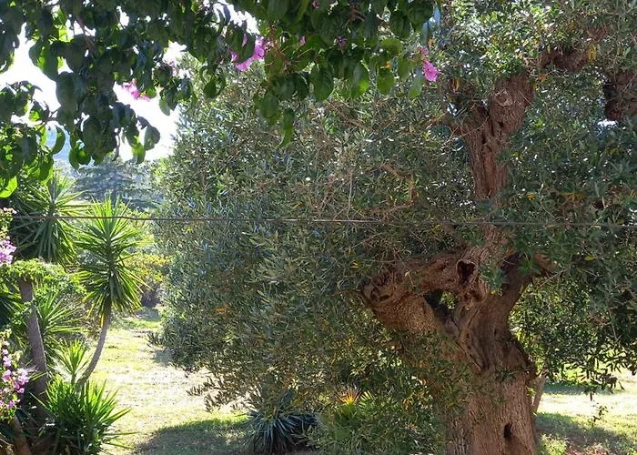Trullichiru בית נופש
